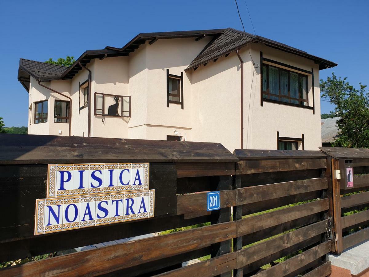 Готель Casa Pisica Noastra Бряза Екстер'єр фото